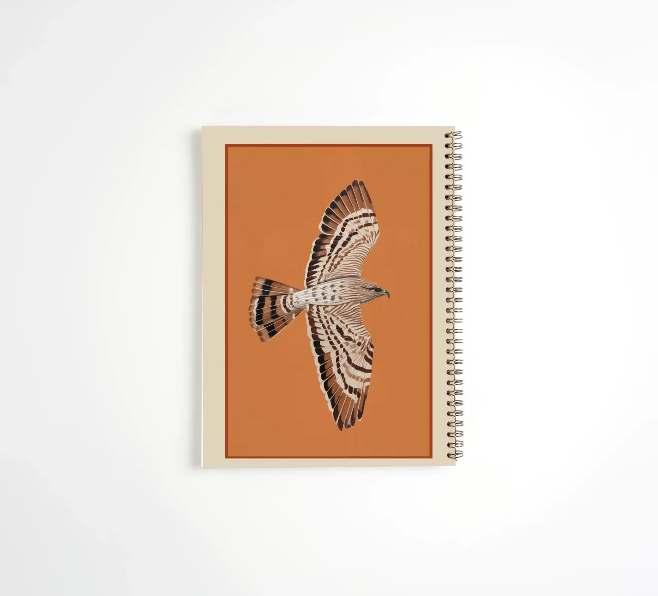 Hawk in Still Flight diario ad anelli da cityart