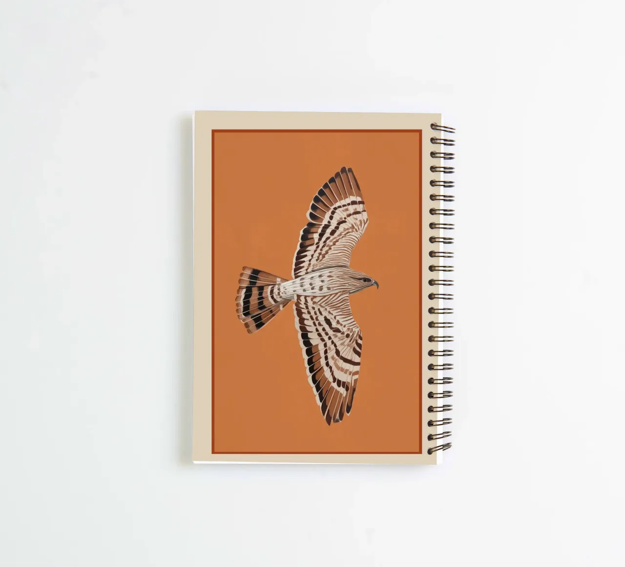 Hawk in Still Flight diario ad anelli da cityart