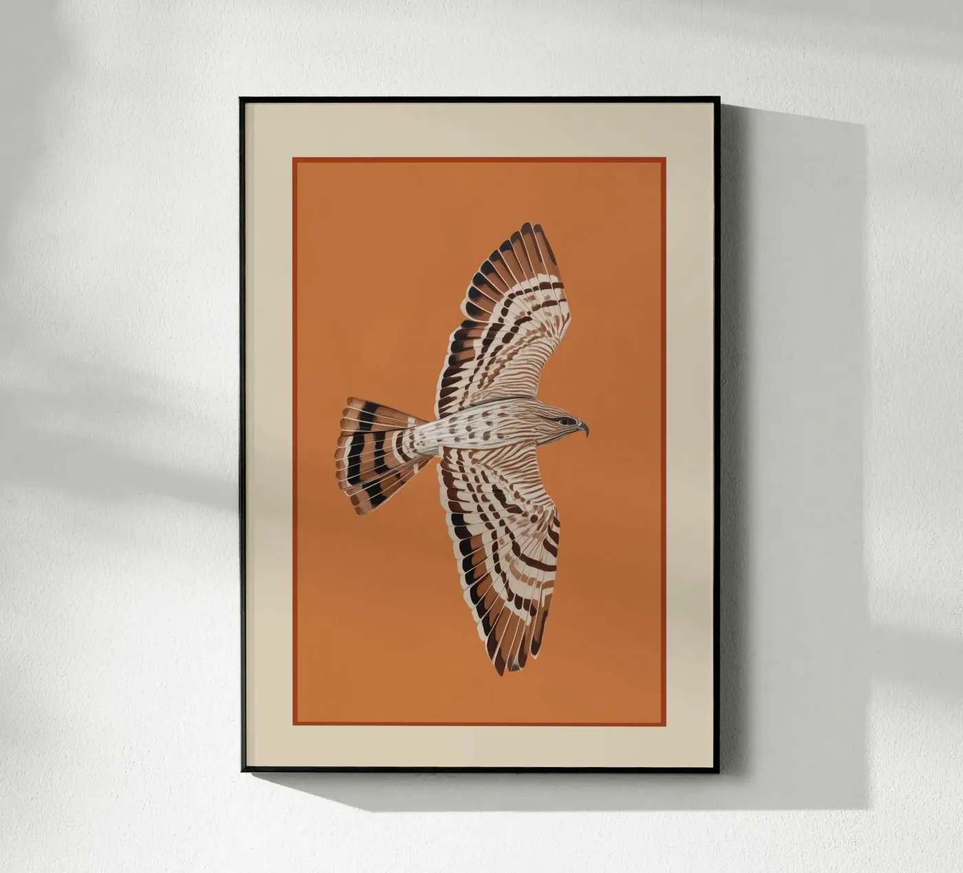 Hawk in Still Flight plexiglass da cityart