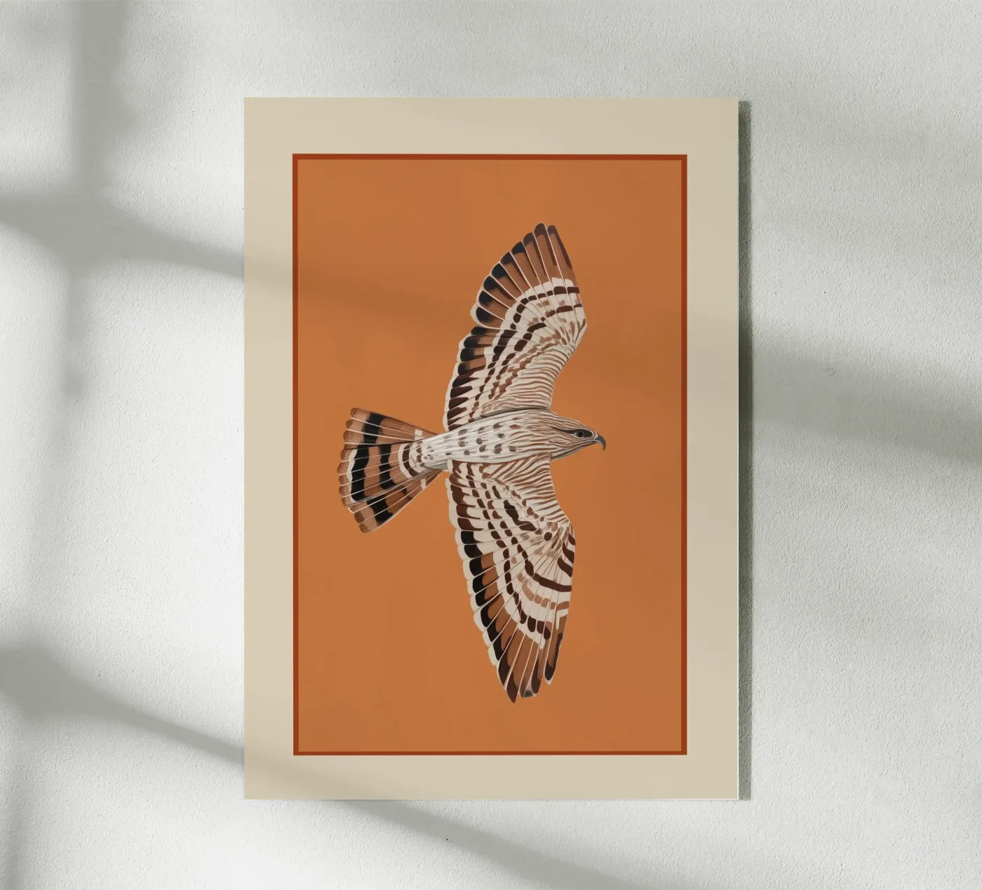 Hawk in Still Flight plexiglass da cityart