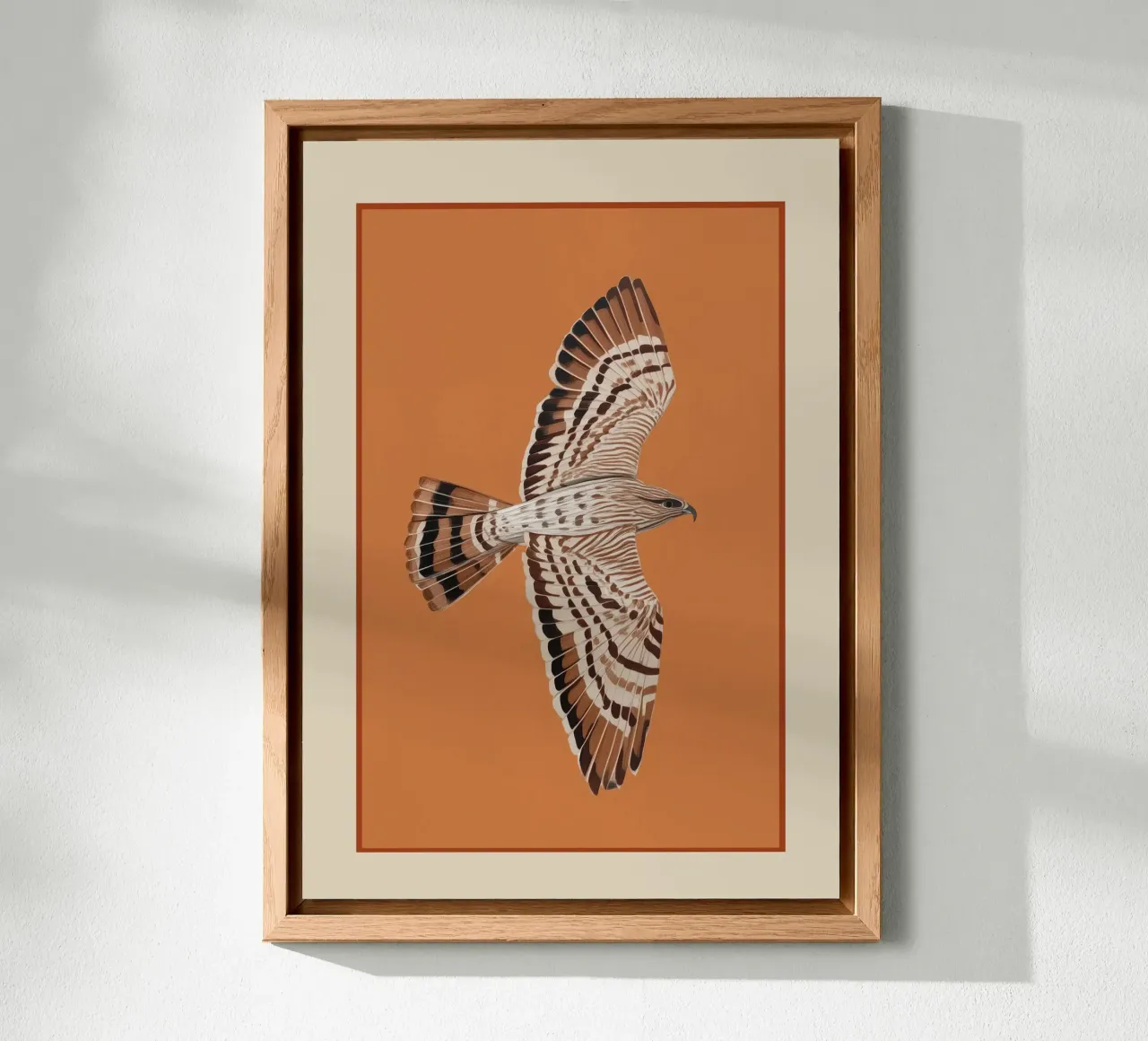Hawk in Still Flight alluminio dibond da cityart