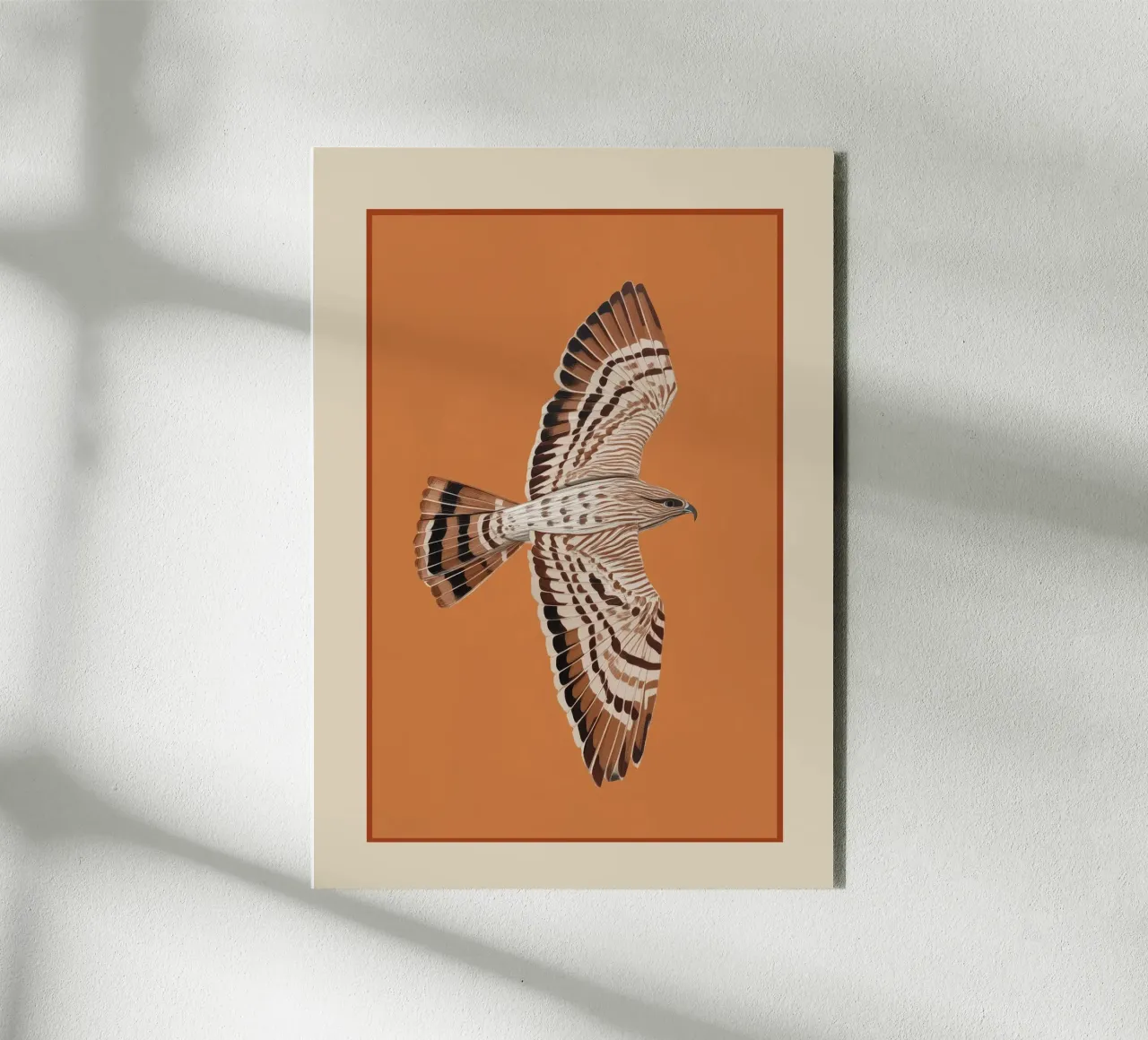Hawk in Still Flight alluminio dibond da cityart