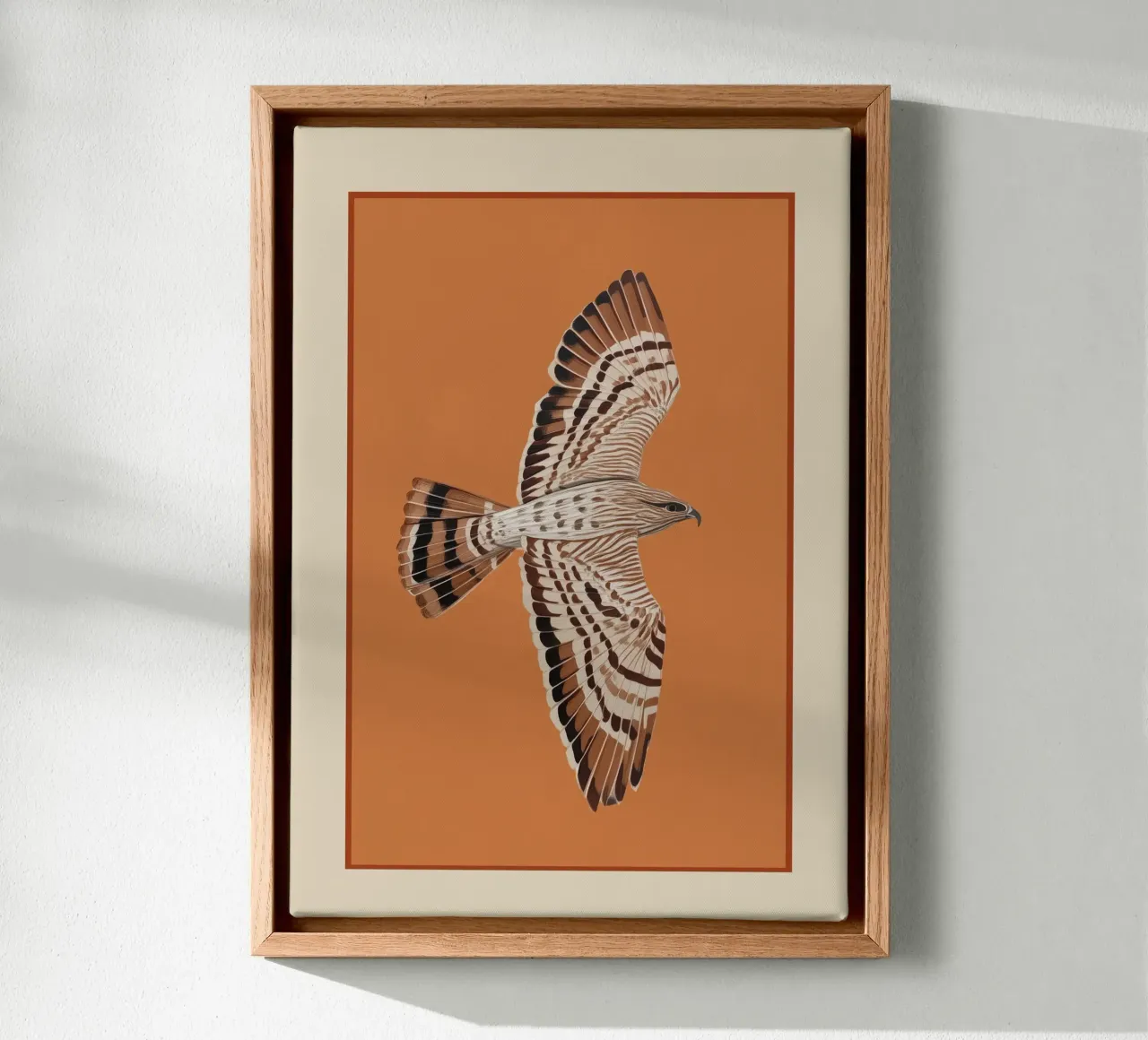 Hawk in Still Flight tela da cityart
