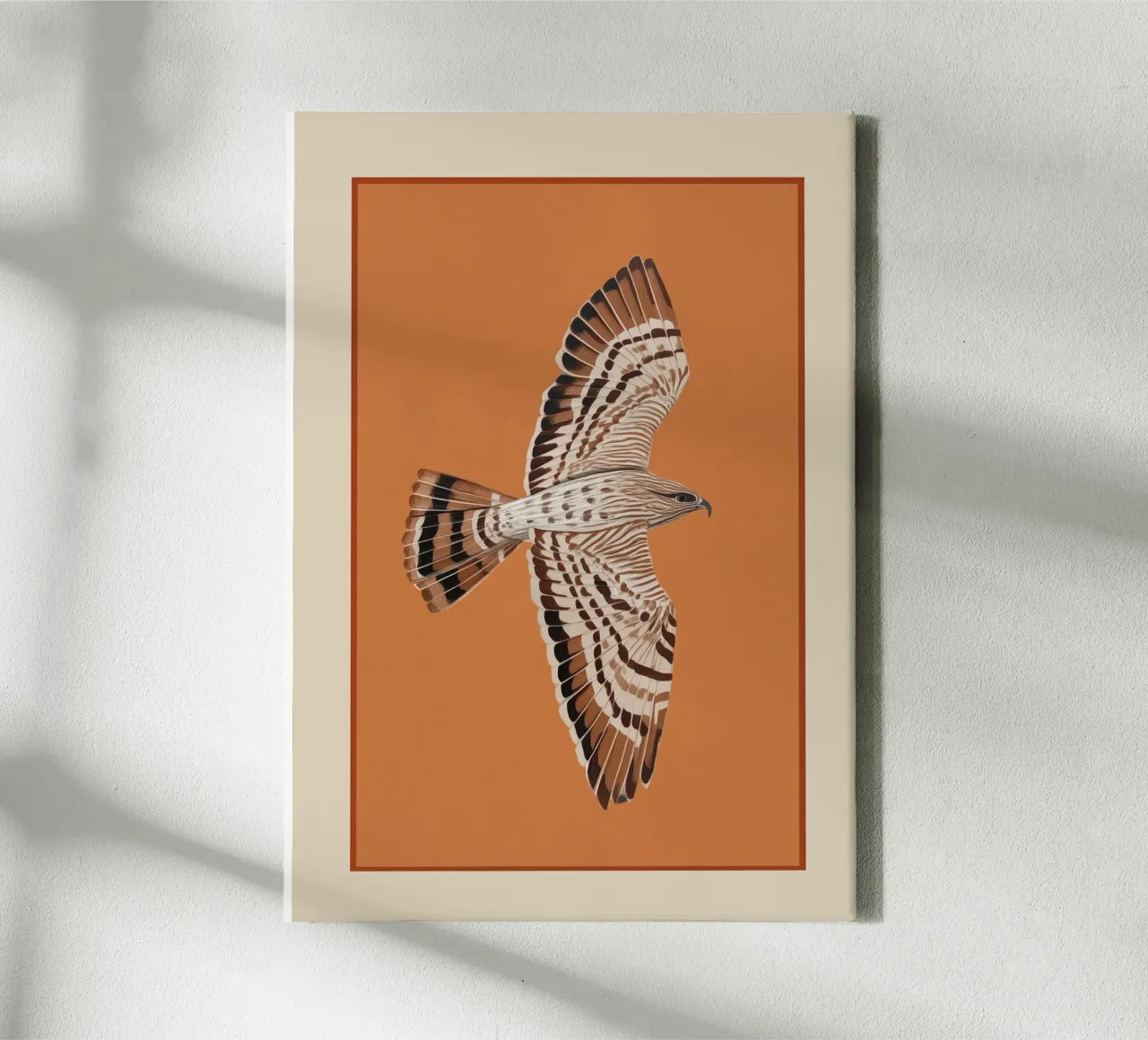 Hawk in Still Flight tela da cityart