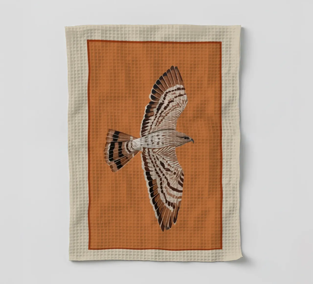 Hawk in Still Flight canovaccio da cucina da cityart