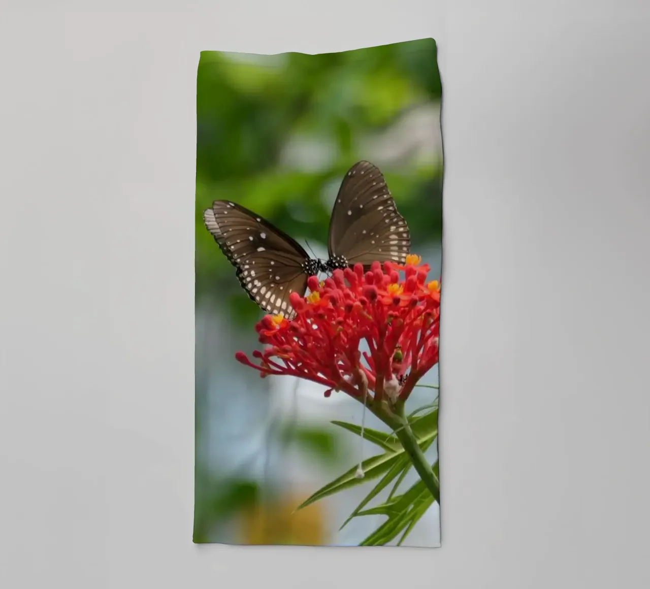 Farfalle cornacchie comuni che si radunano su un fiore rosso asciugamano da bagno da byrieneke