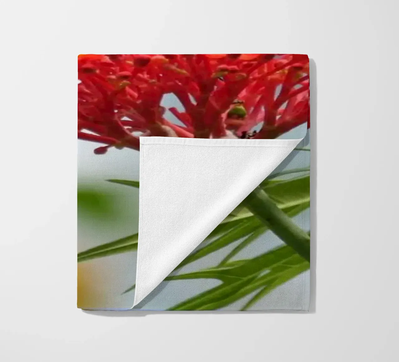 Farfalle cornacchie comuni che si radunano su un fiore rosso telo mare da byrieneke