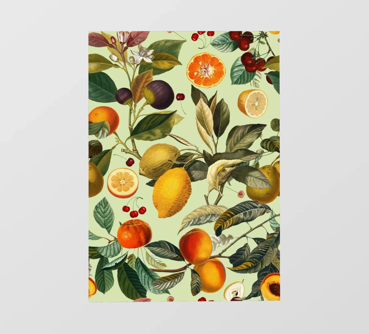 Vintage Fruit Pattern XIII pellicola backlit da burcukorkmazyurek