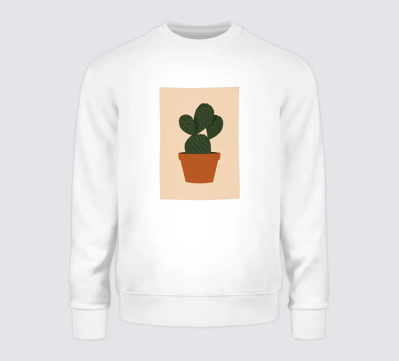 Cactus in Terracotta Pot felpa da Larry