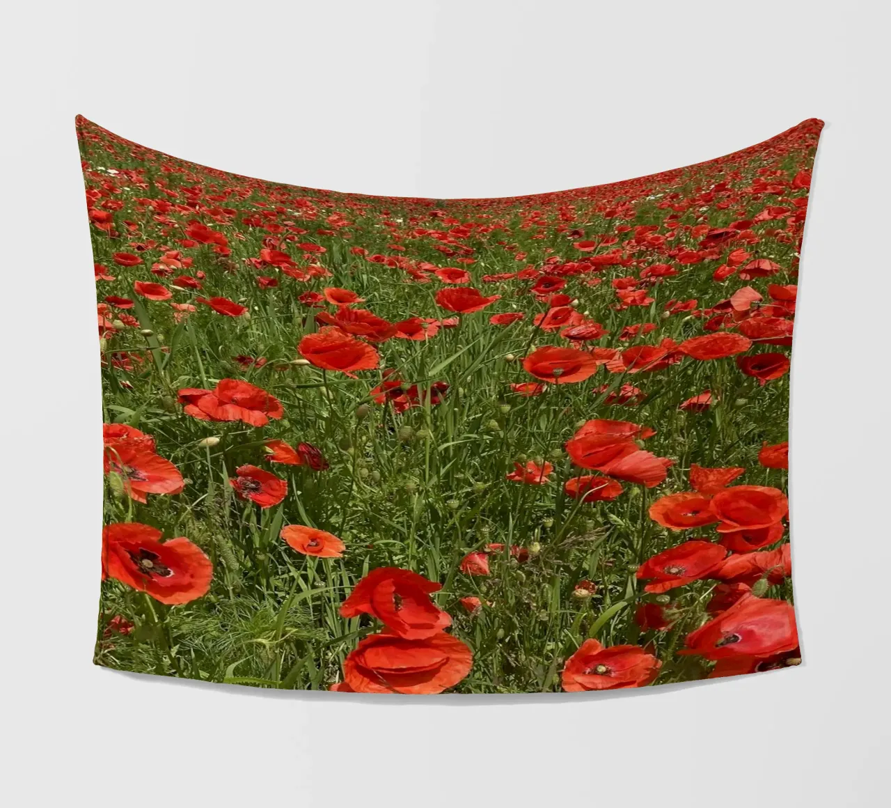 Il papavero in fiore a giugno coperta in pile da Art Studio by Iris
