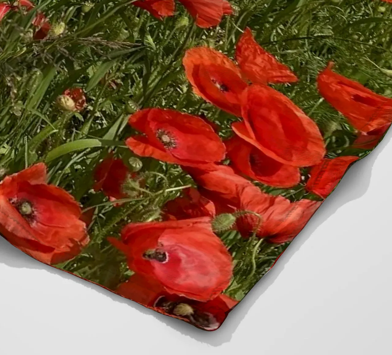 Il papavero in fiore a giugno coperta in pile da Art Studio by Iris