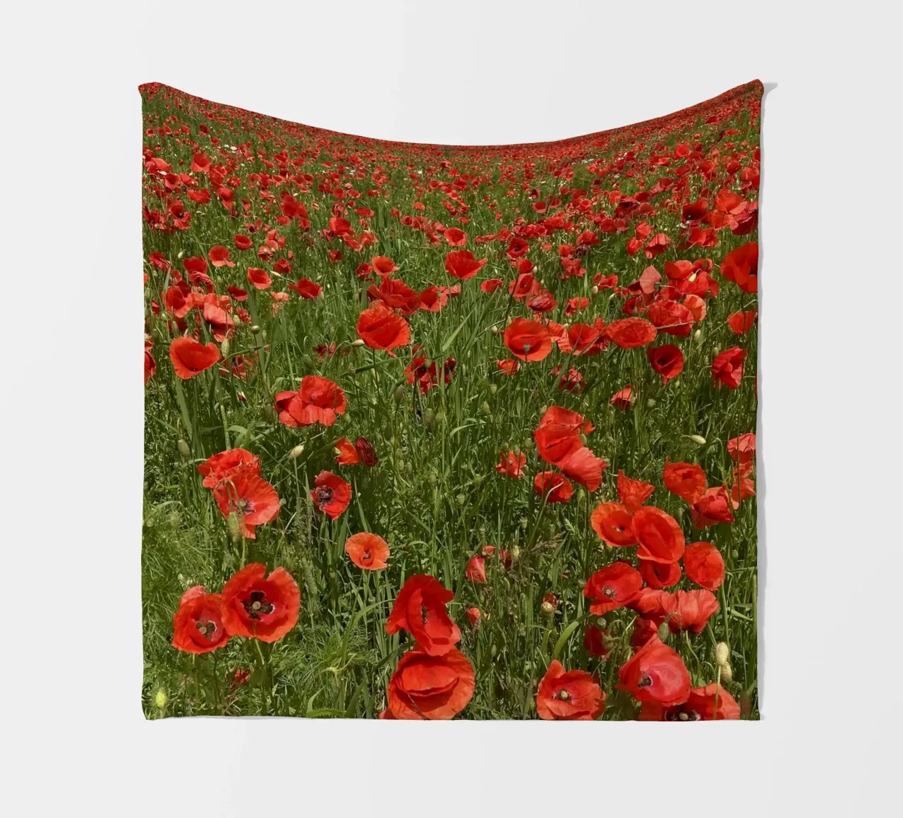 Il papavero in fiore a giugno coperta in pile da Art Studio by Iris