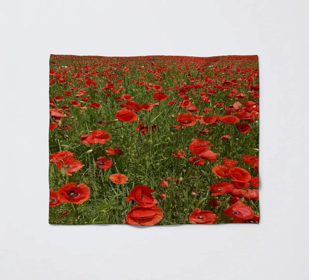 Il papavero in fiore a giugno coperta in pile da Art Studio by Iris
