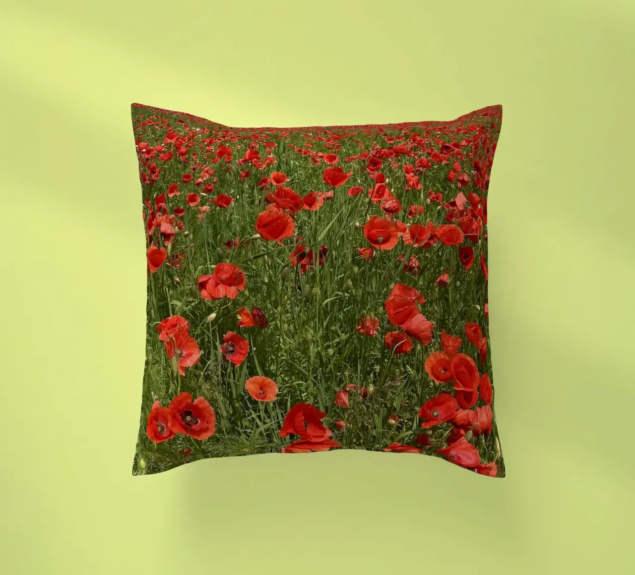 Il papavero in fiore a giugno cuscino da Art Studio by Iris