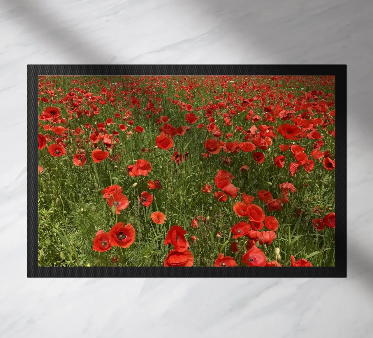 Il papavero in fiore a giugno zerbino da Art Studio by Iris