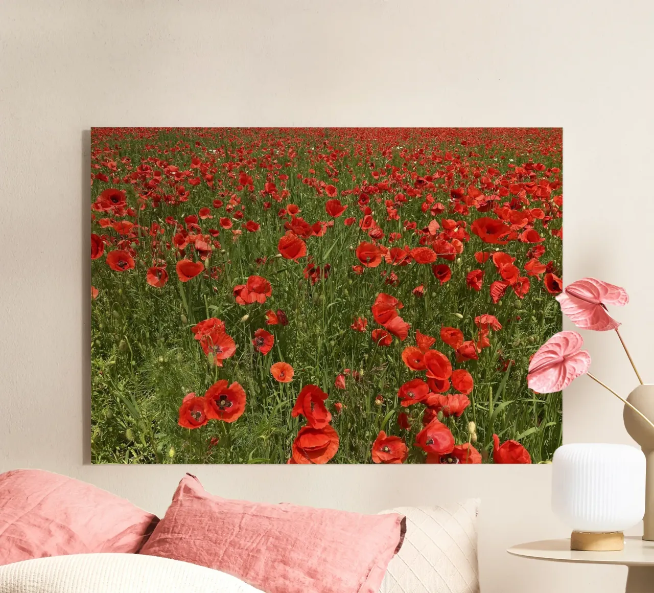 Il papavero in fiore a giugno plexiglass da Art Studio by Iris