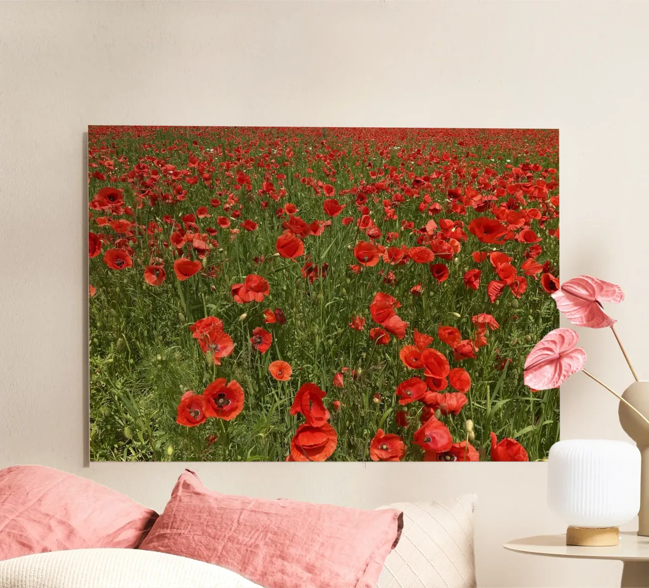 Il papavero in fiore a giugno alluminio dibond da Art Studio by Iris