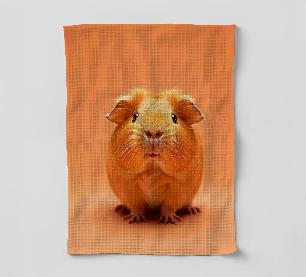 Mignon cochon d'Inde à la fourrure duveteuse posant sur un tableau orange torchon de DesignDoodle