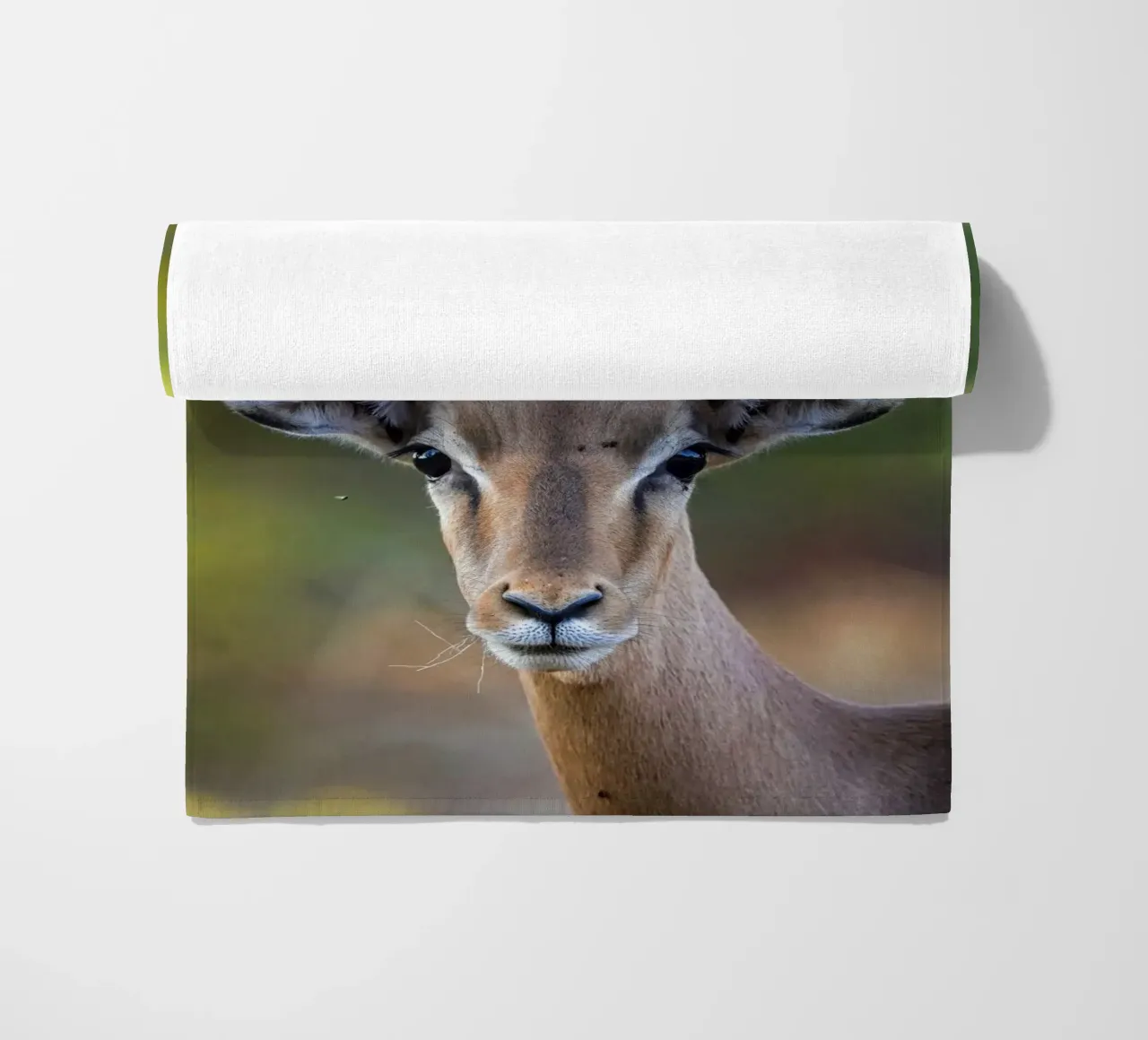 Impala telo mare da Tom's Wildlife