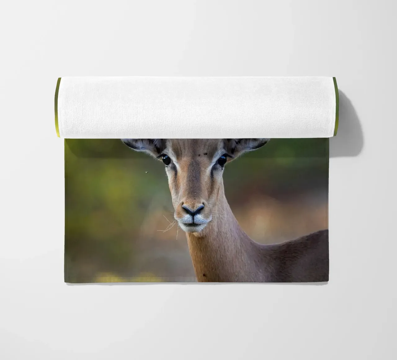 Impala telo mare da Tom's Wildlife