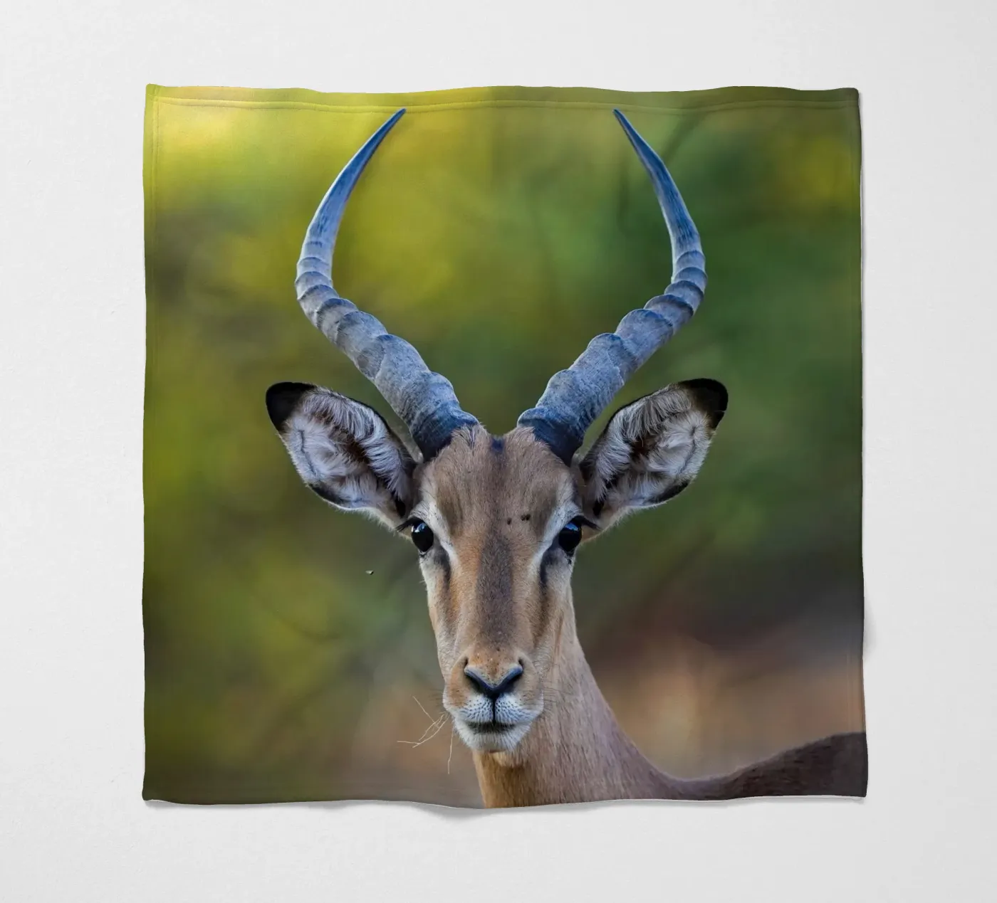 Impala fleecedeken van Tom's Wildlife