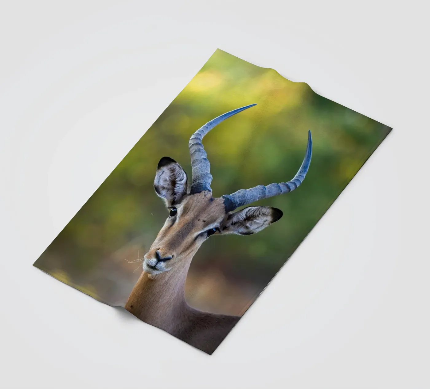 Impala fleecedeken van Tom's Wildlife