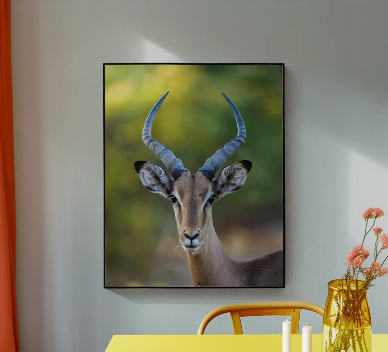 Impala plexiglass da Tom's Wildlife