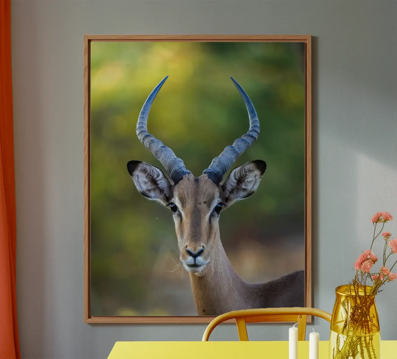 Impala aluminio dibond de Tom's Wildlife
