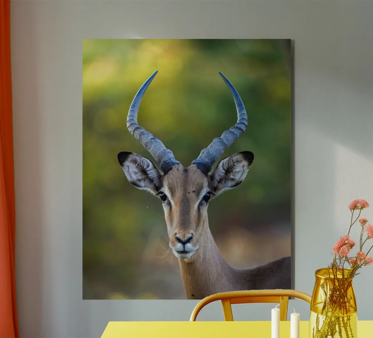 Impala aluminio dibond de Tom's Wildlife