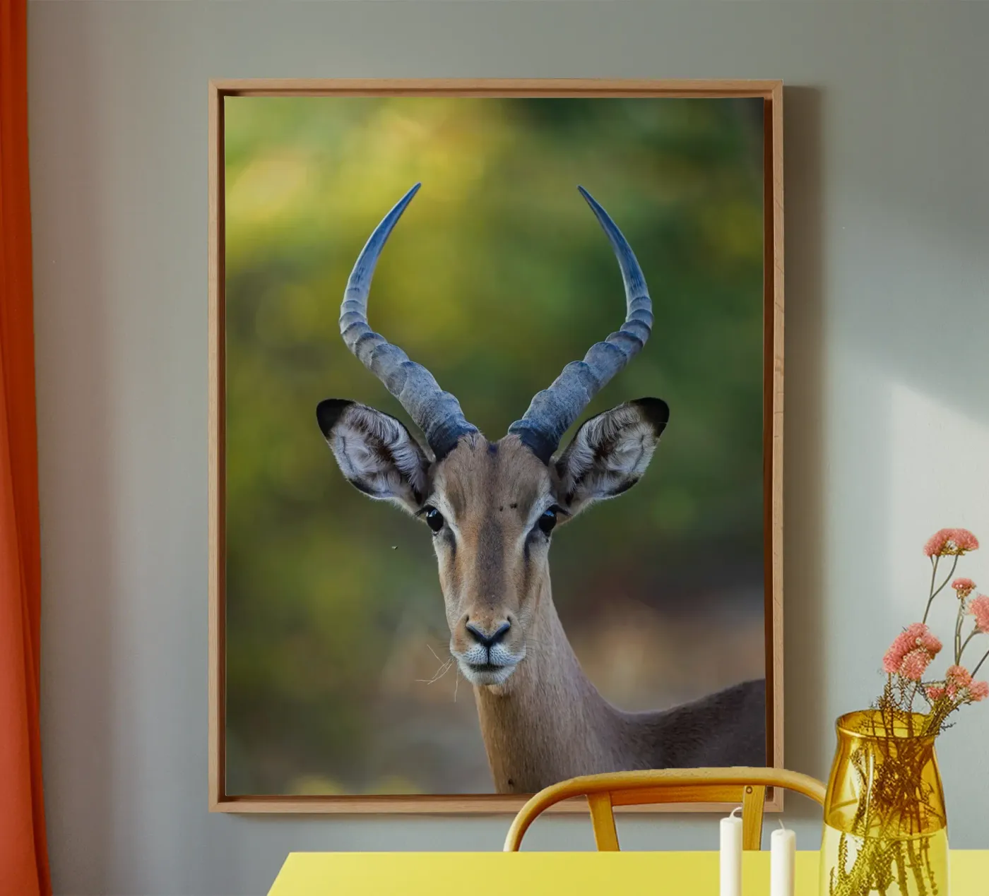 Impala tela da Tom's Wildlife