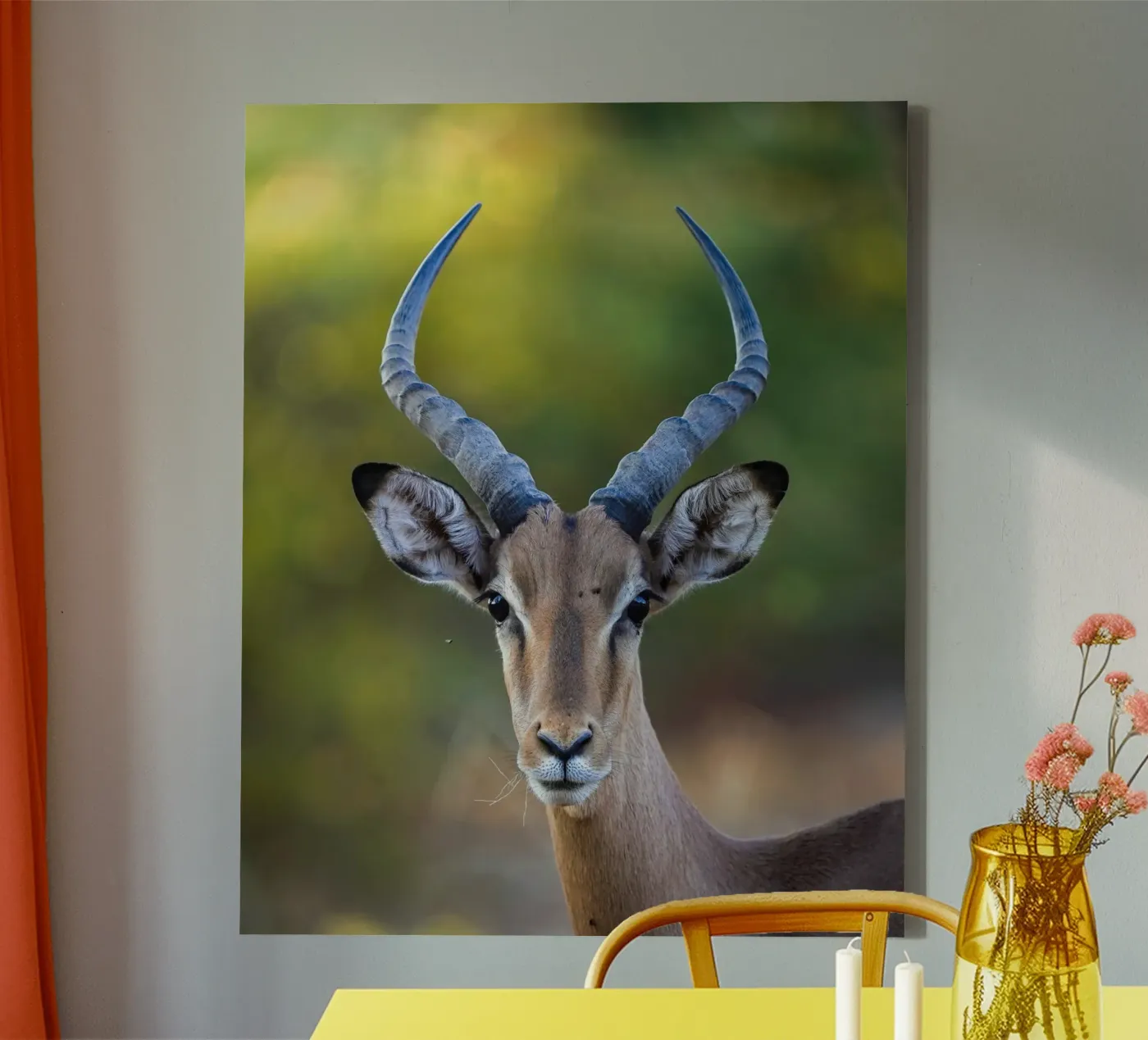 Impala tela da Tom's Wildlife