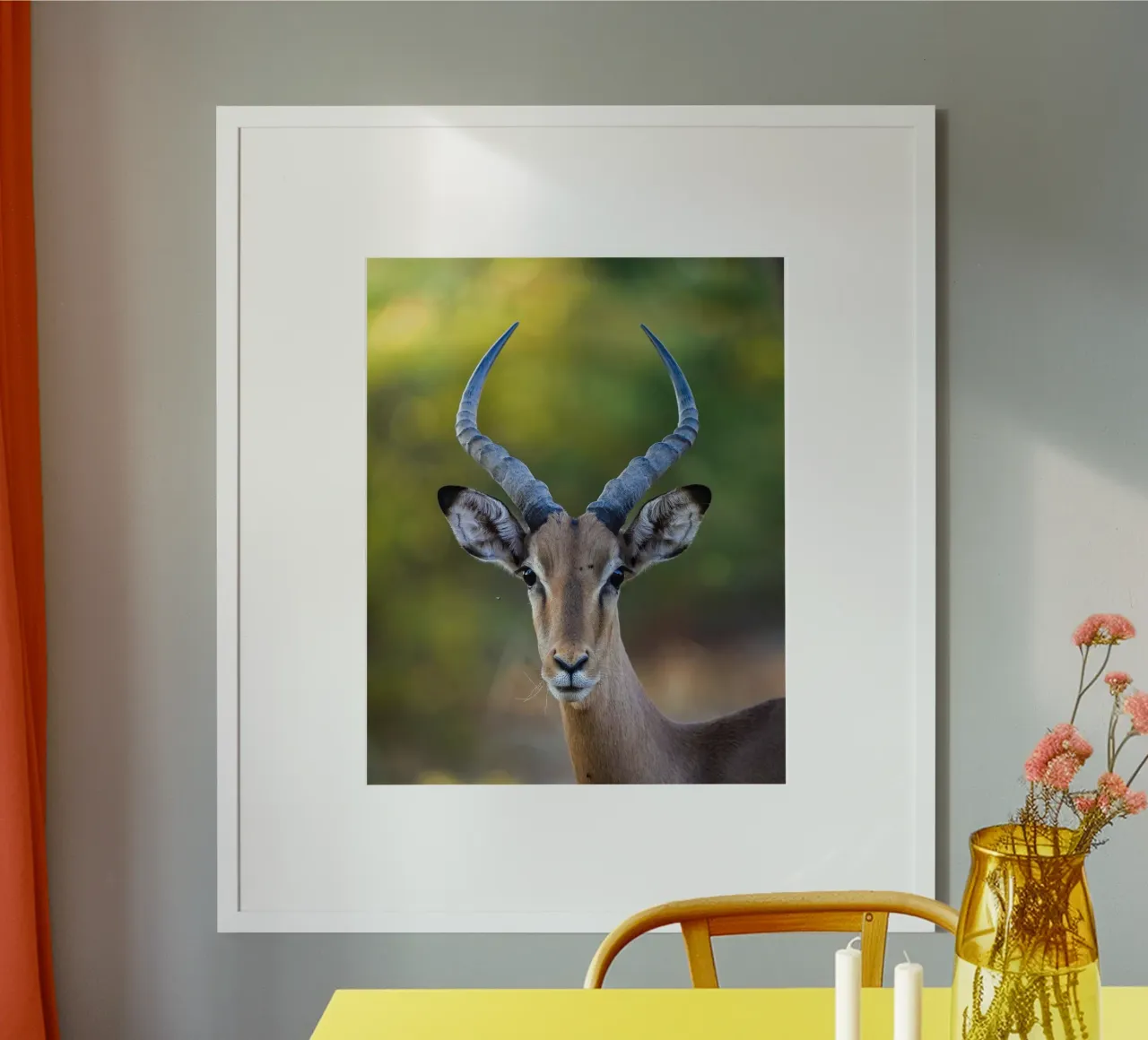 Impala product.type.poster common.byCreator Tom's Wildlife