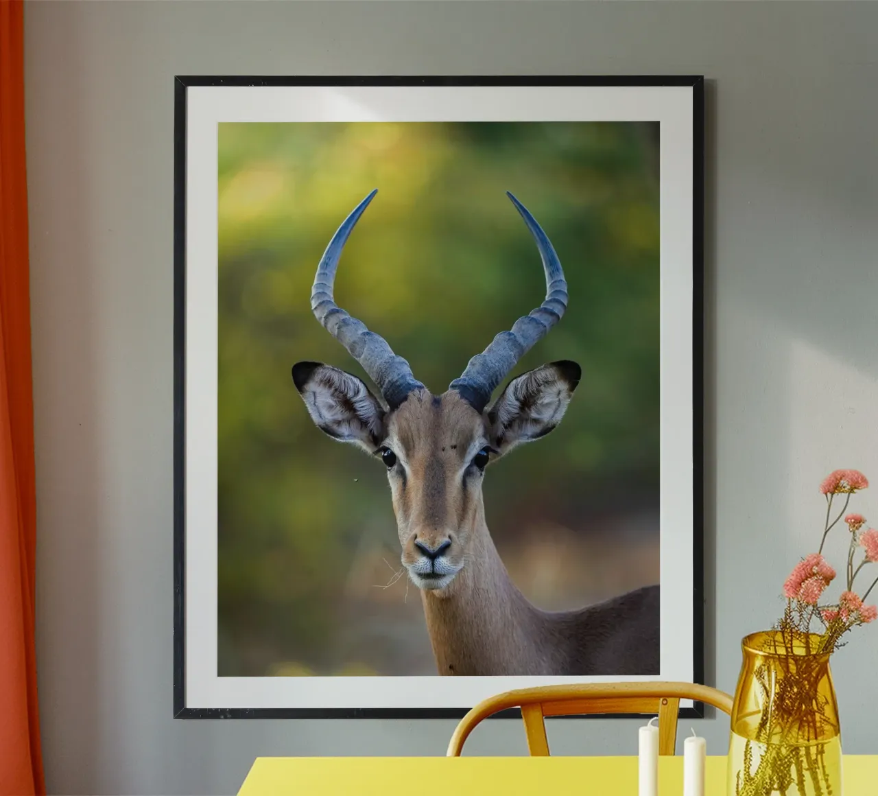 Impala product.type.poster common.byCreator Tom's Wildlife