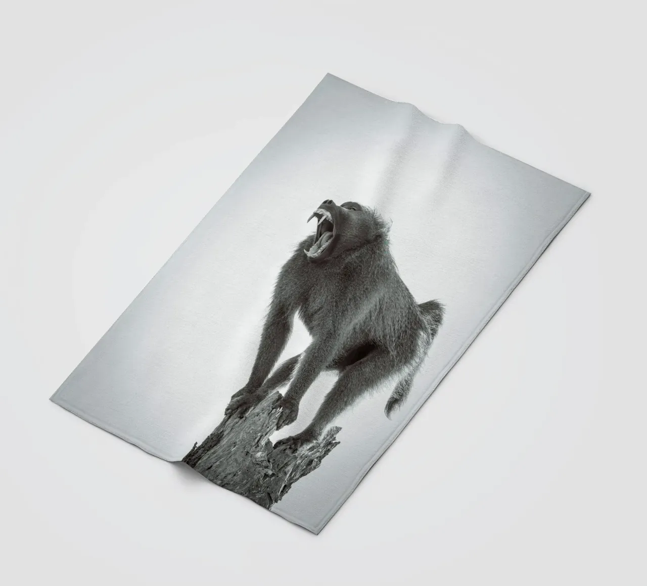 Maschio di babbuino coperta in pile da Tom's Wildlife