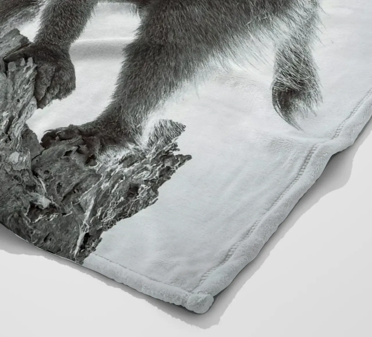 Maschio di babbuino coperta in pile da Tom's Wildlife