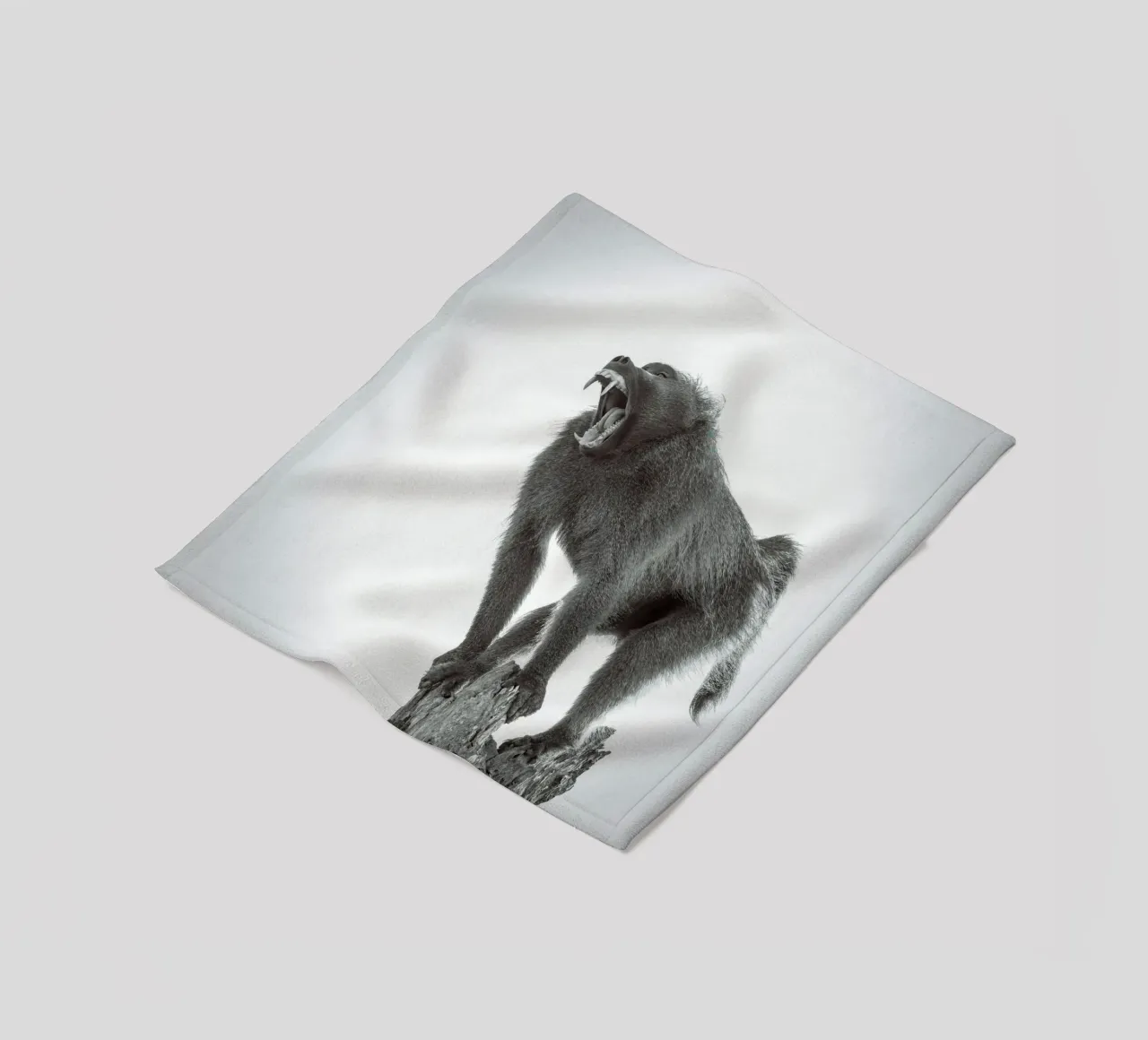 Maschio di babbuino coperta in pile da Tom's Wildlife