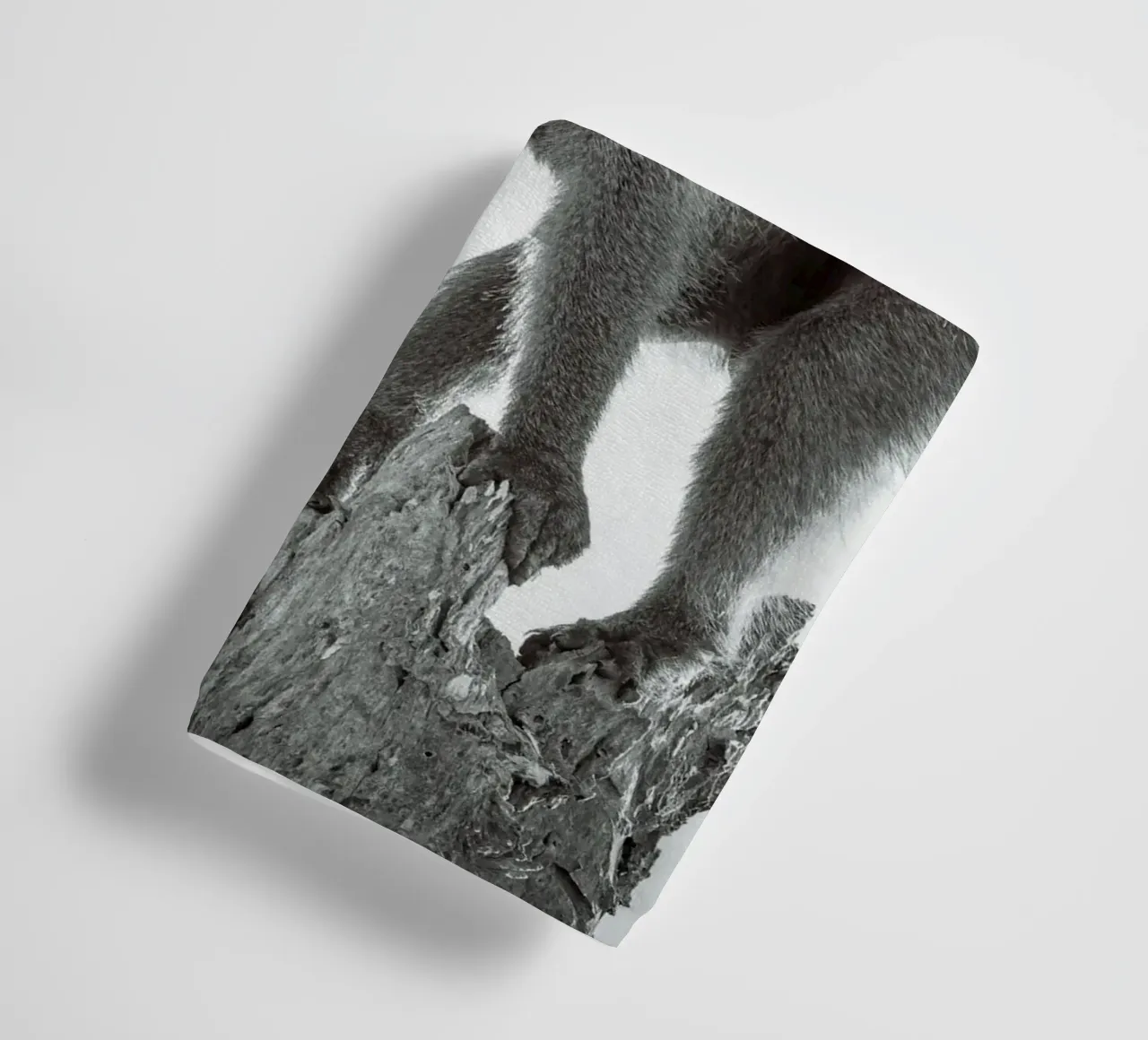 Maschio di babbuino asciugamano da bagno da Tom's Wildlife