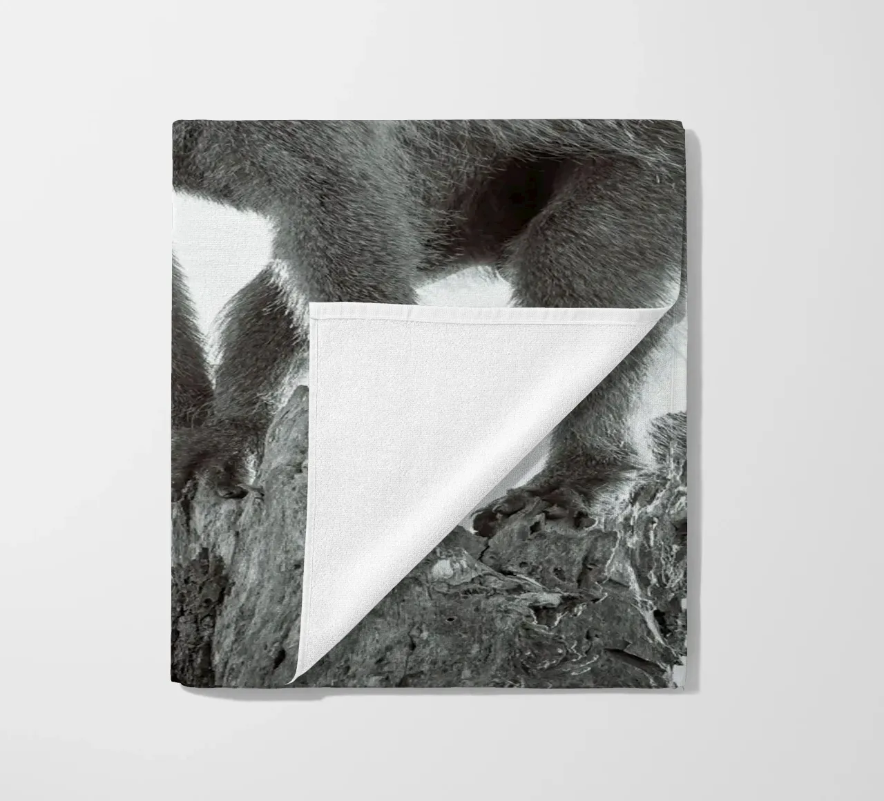 Maschio di babbuino telo mare da Tom's Wildlife