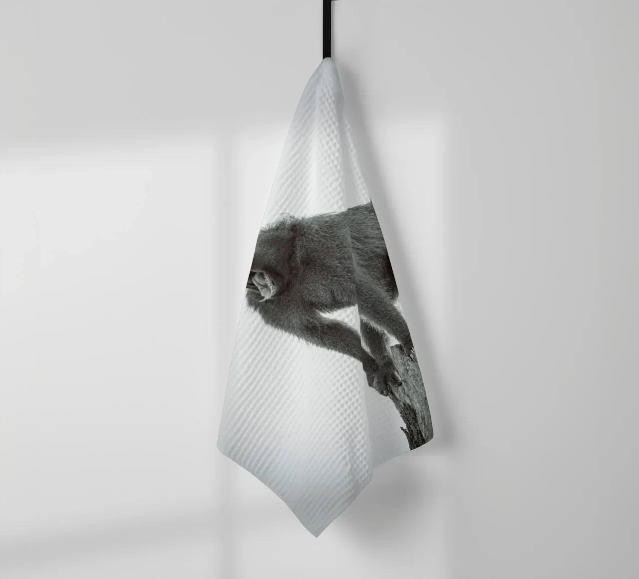 Maschio di babbuino canovaccio da cucina da Tom's Wildlife