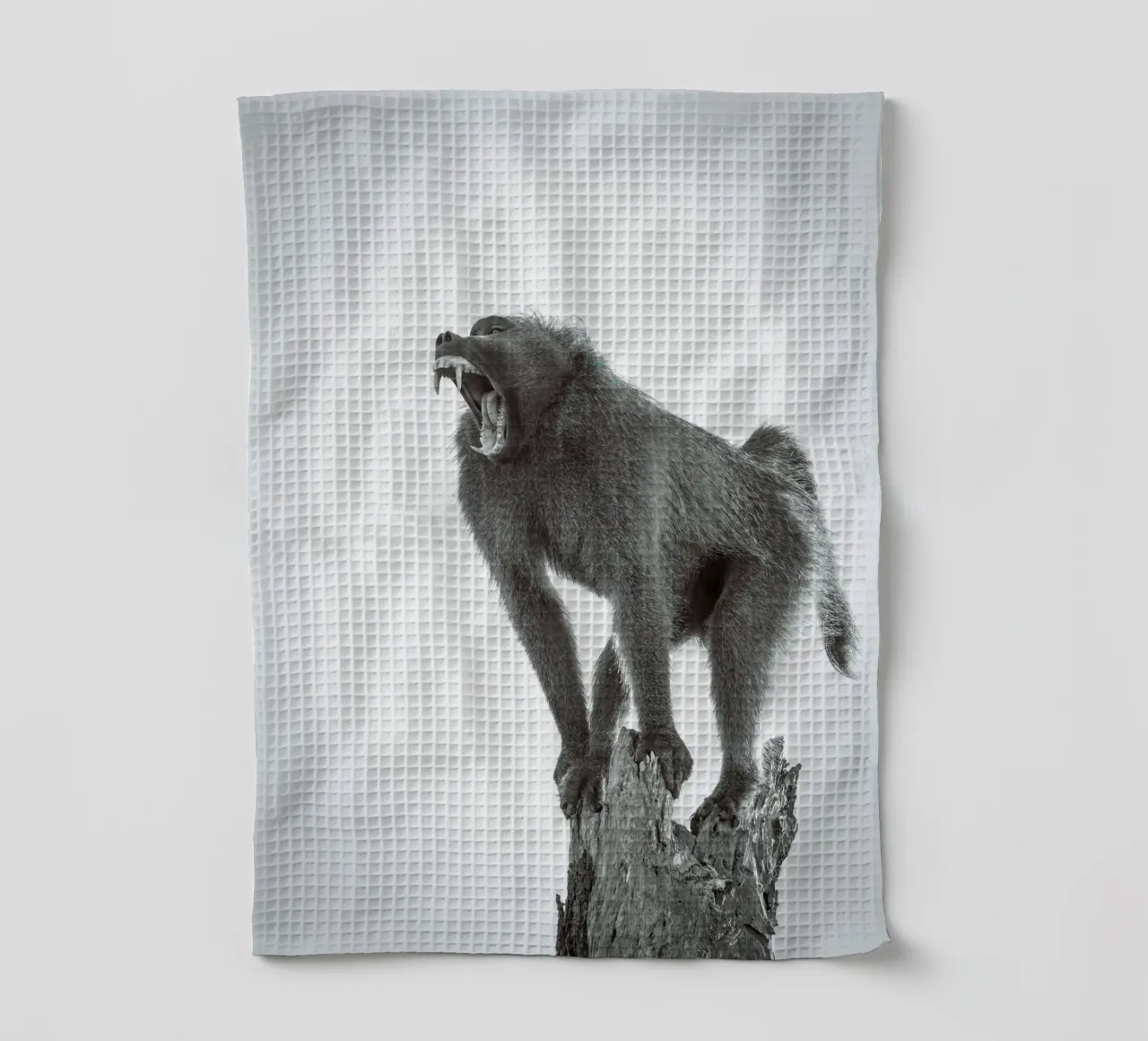 Maschio di babbuino canovaccio da cucina da Tom's Wildlife