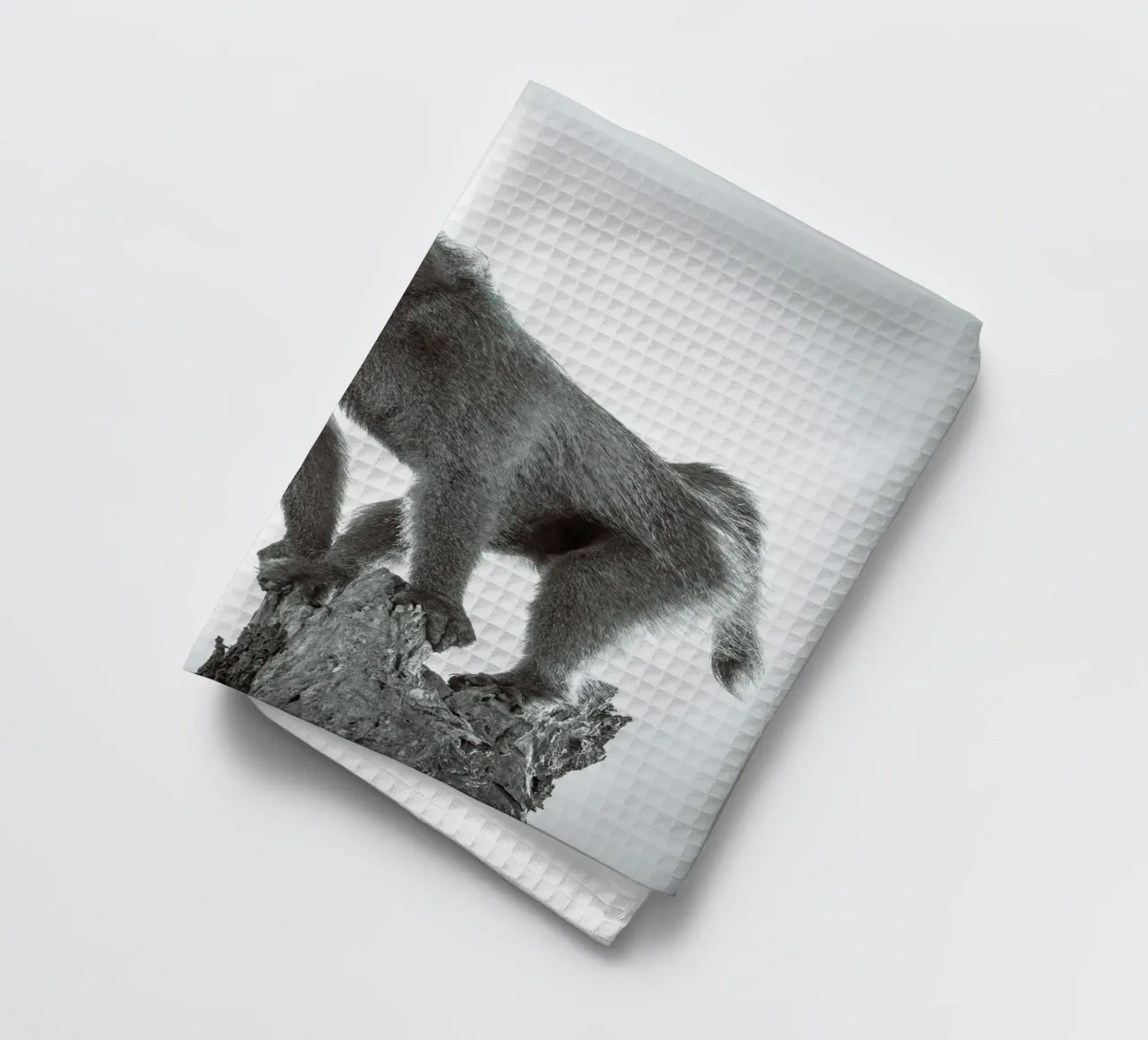 Maschio di babbuino canovaccio da cucina da Tom's Wildlife