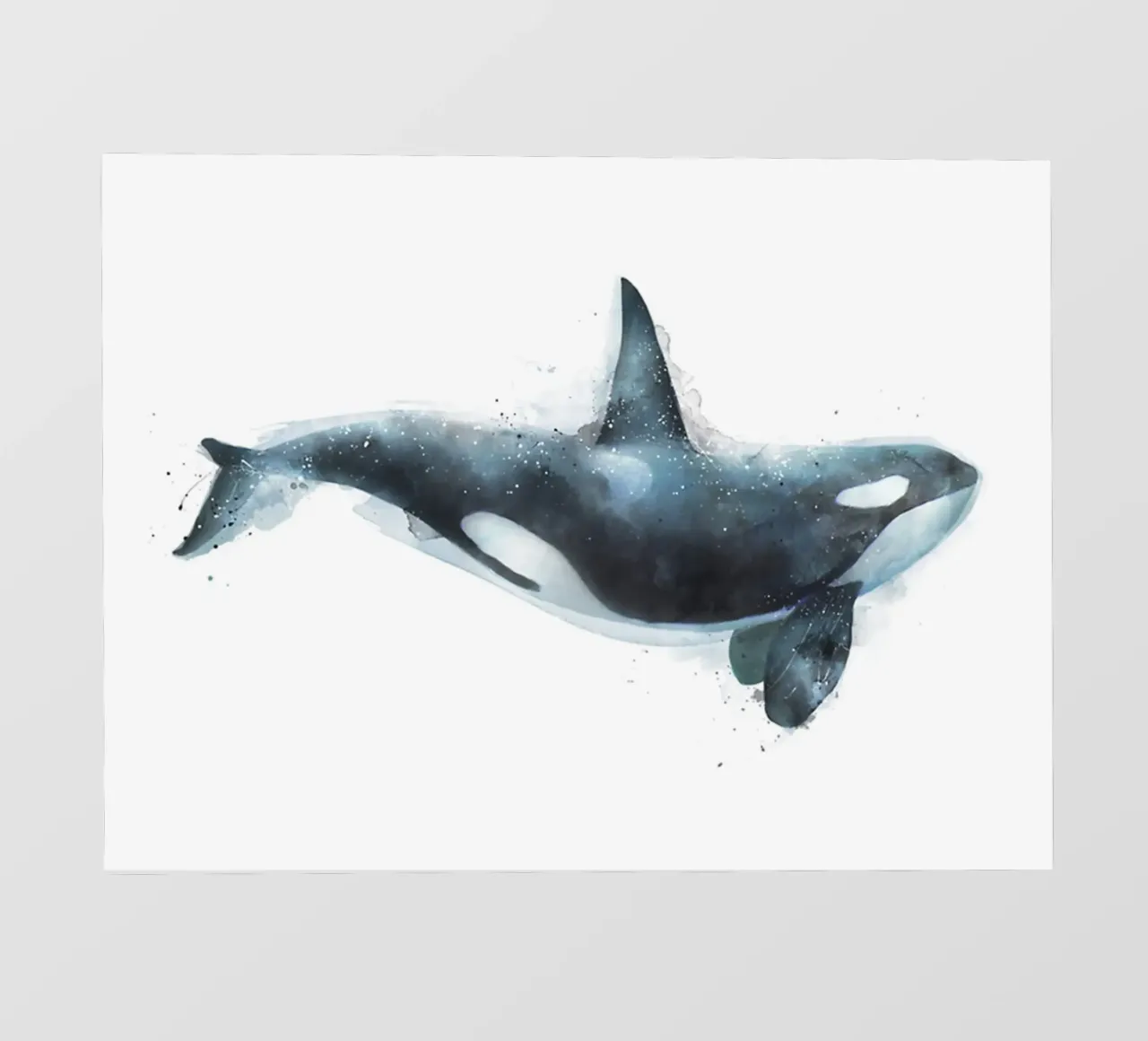 L'Orca telo in pvc da Rachel Gallery