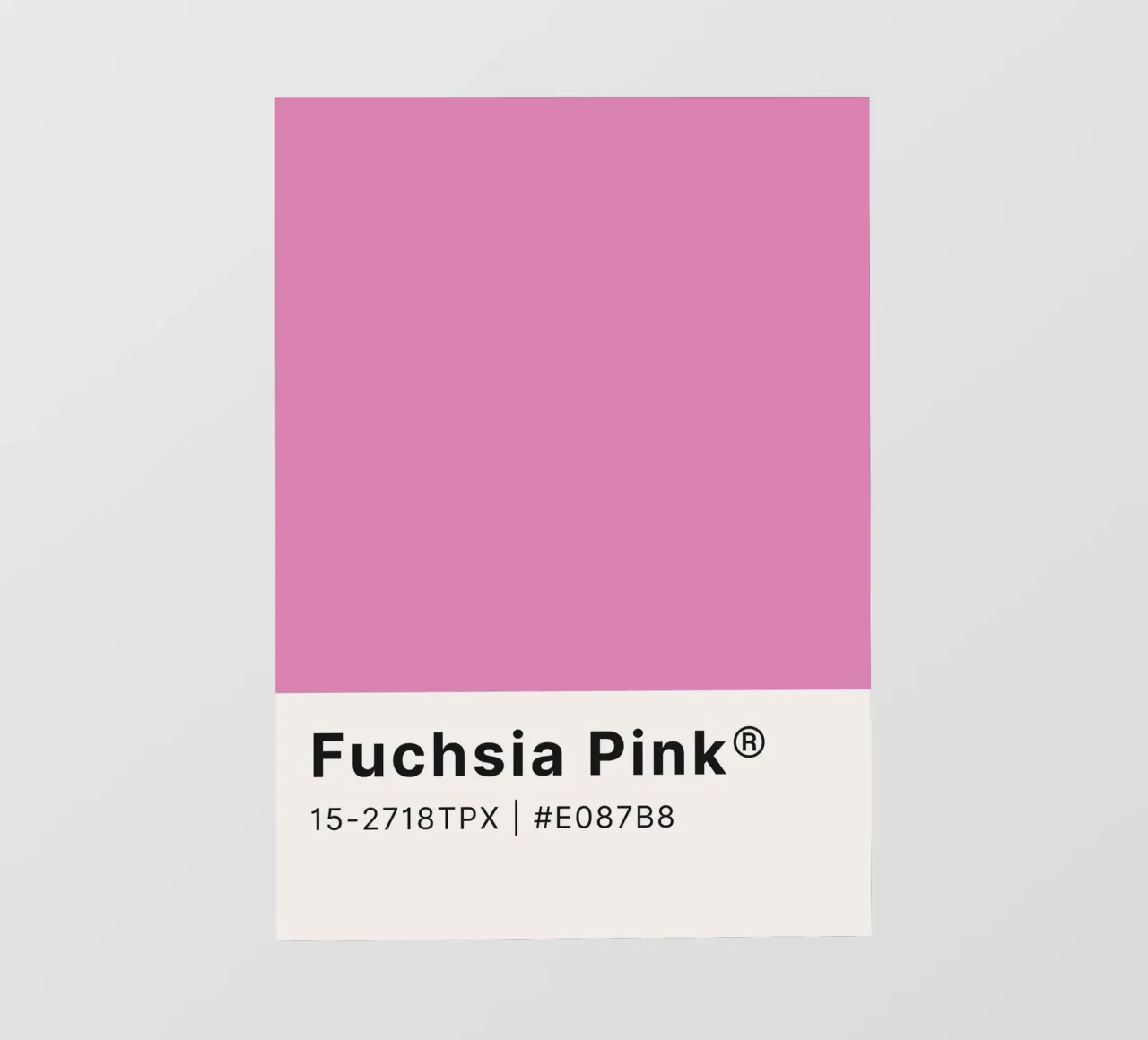 Blocco di colori rosa fucsia Pantone - Estetica moderna pellicola backlit da homdeco