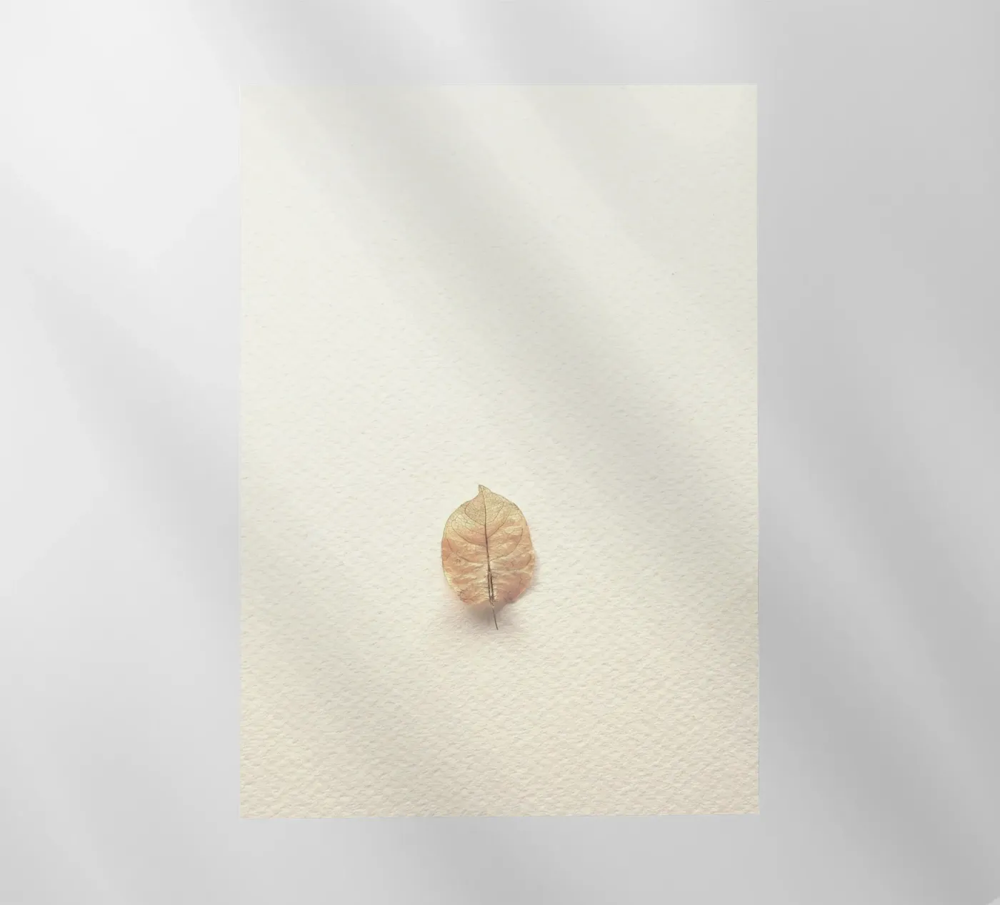 single leaf pellicola backlit da prindy