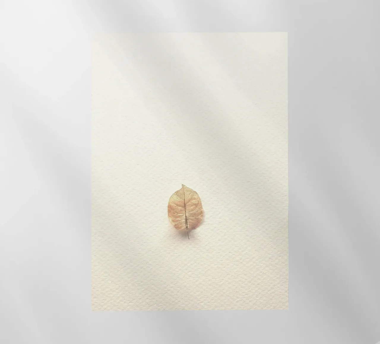 foglia singola pellicola backlit da prindy