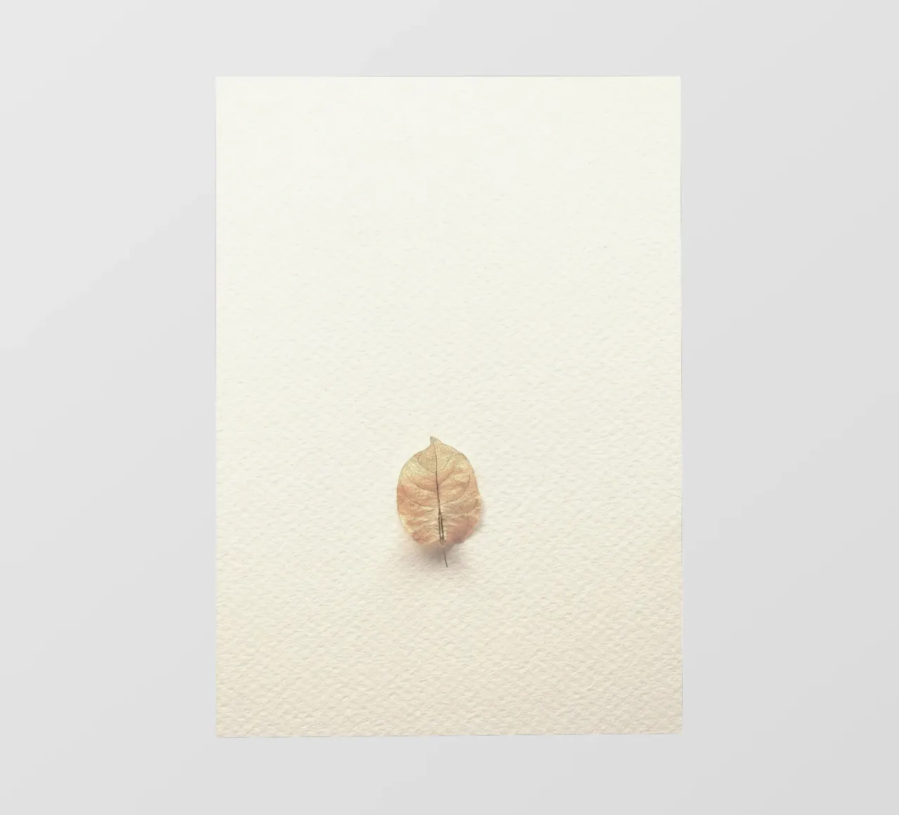 foglia singola pellicola backlit da prindy