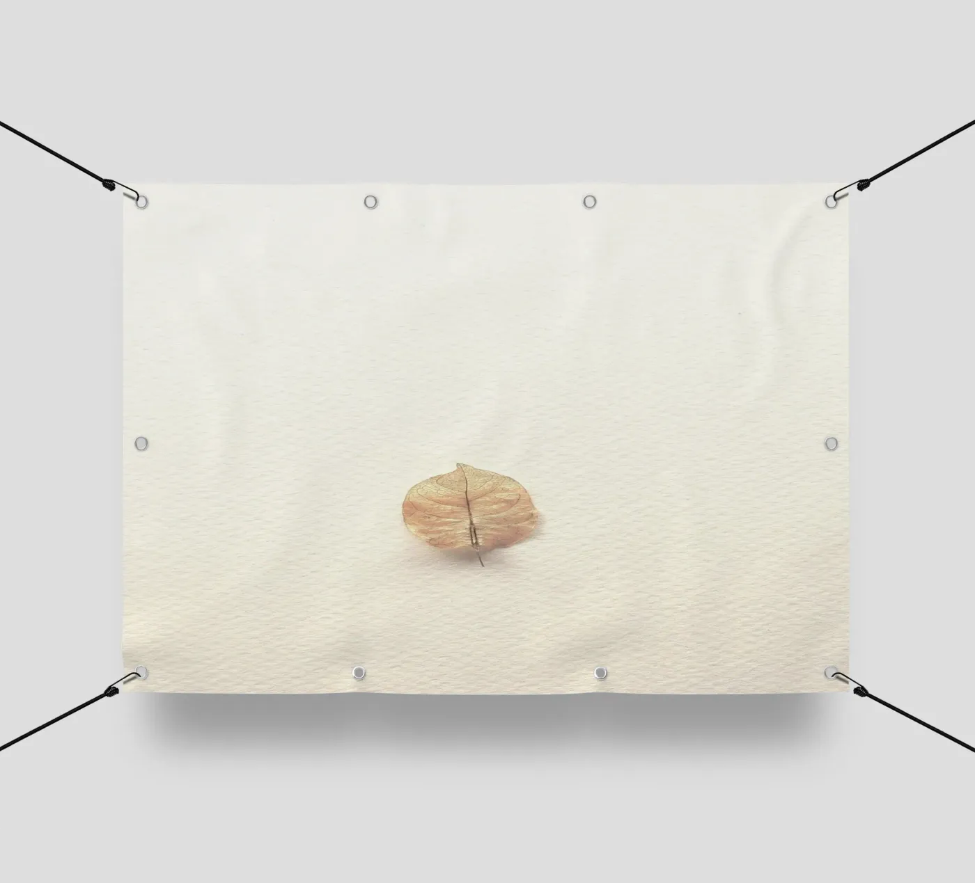 foglia singola telo in pvc da prindy