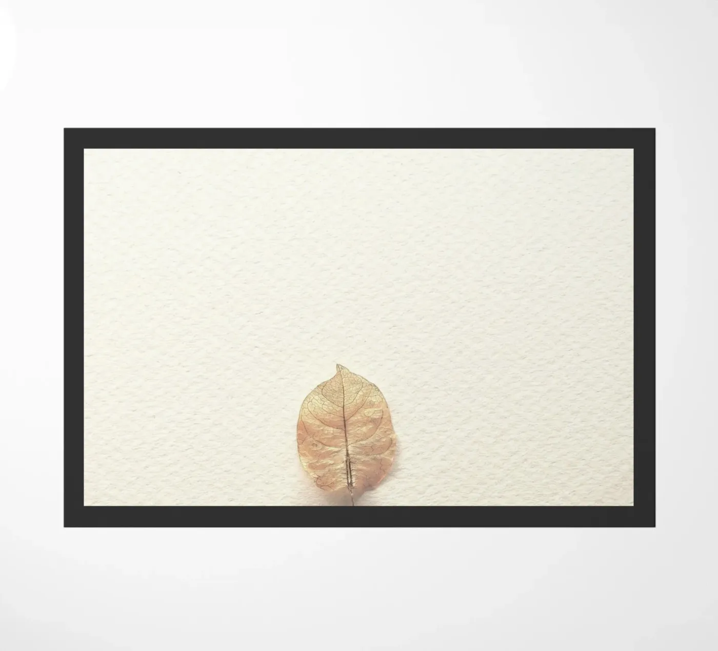 single leaf zerbino da prindy