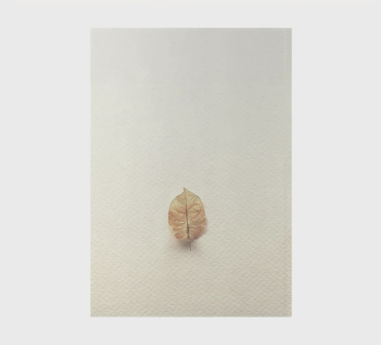 single leaf notebook by prindy