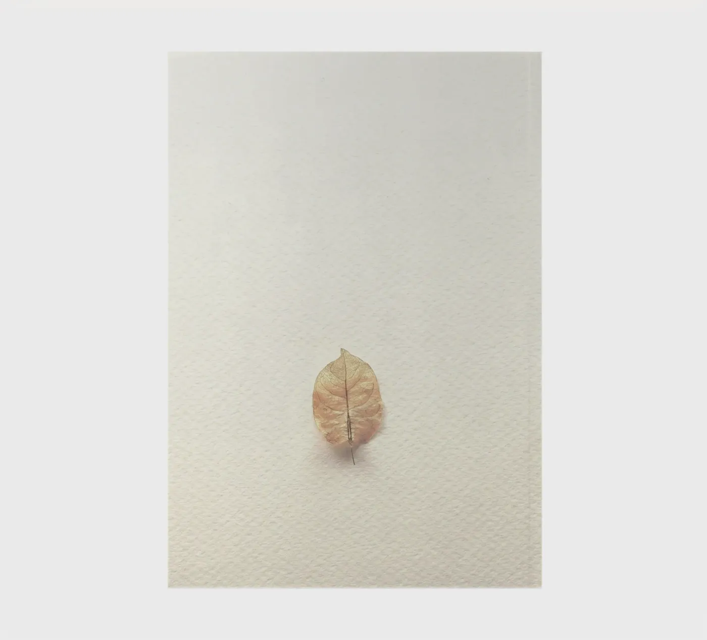 single leaf notebook by prindy